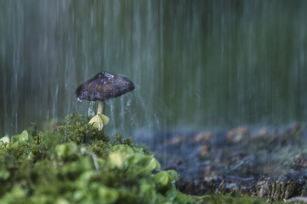 Monatsbilder Oktober 2017